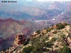 canyon